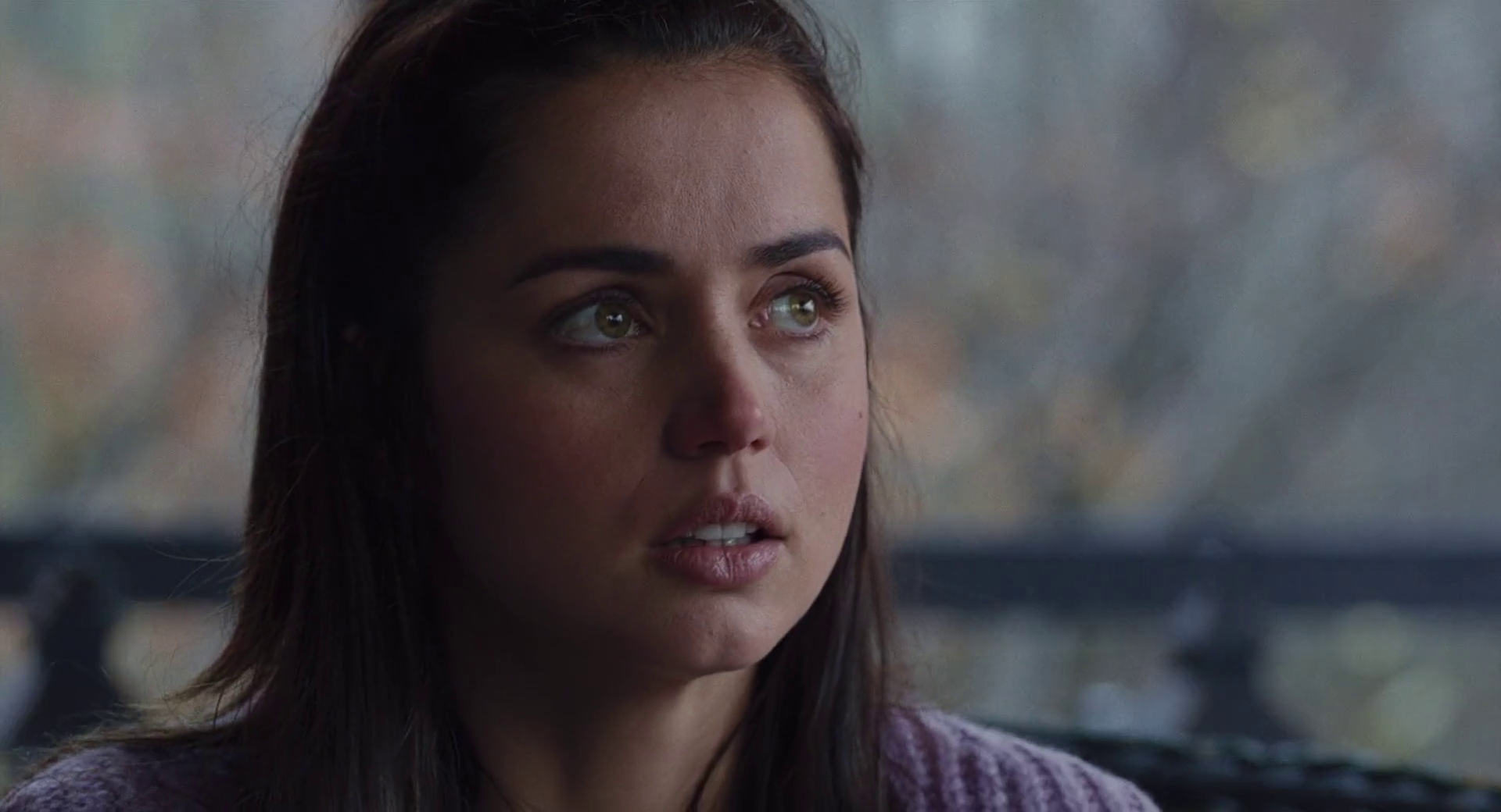 ADAA0174.PNG